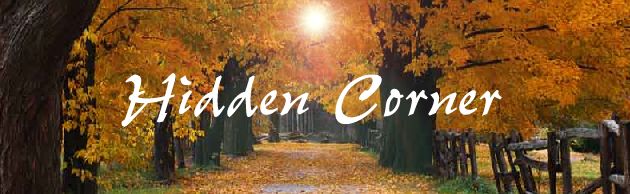 Welcome to Hidden Corner