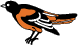 Baltimore Orioles